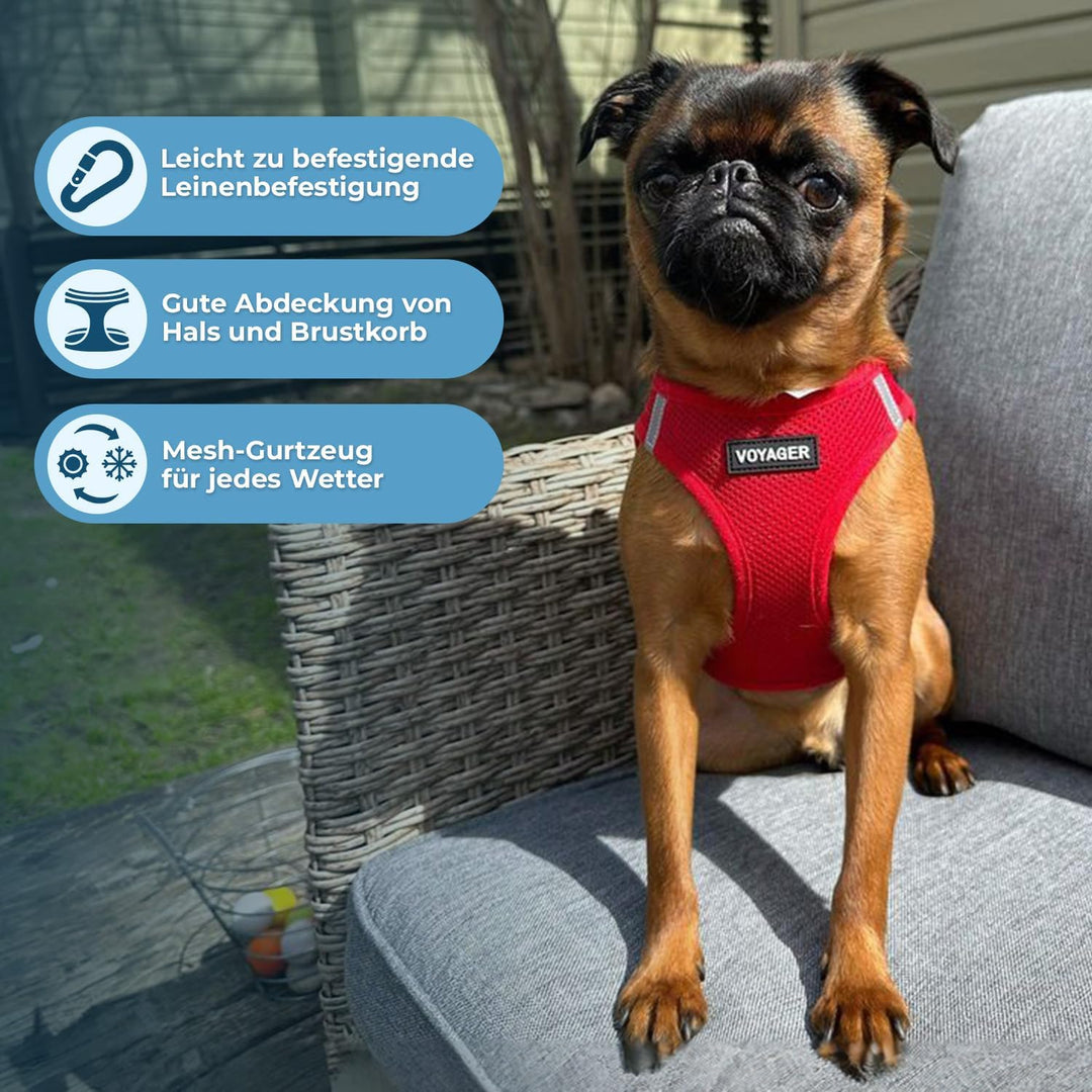 Voyager Step-In Air Hundegeschirr by Best Pet Supplies - All Weather Mesh Step in Vest Harness für k