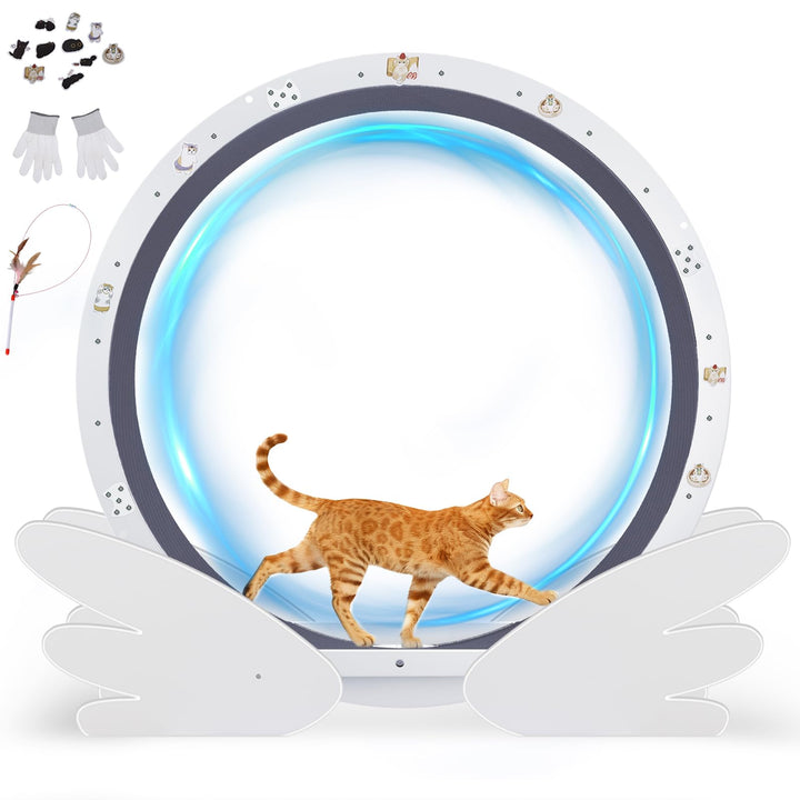 GTPLAYER Katzenlaufrad, laufrad Katze, Extra grosser 100 cm, ultraleises Laufrad mit Abnehmbarer Tep