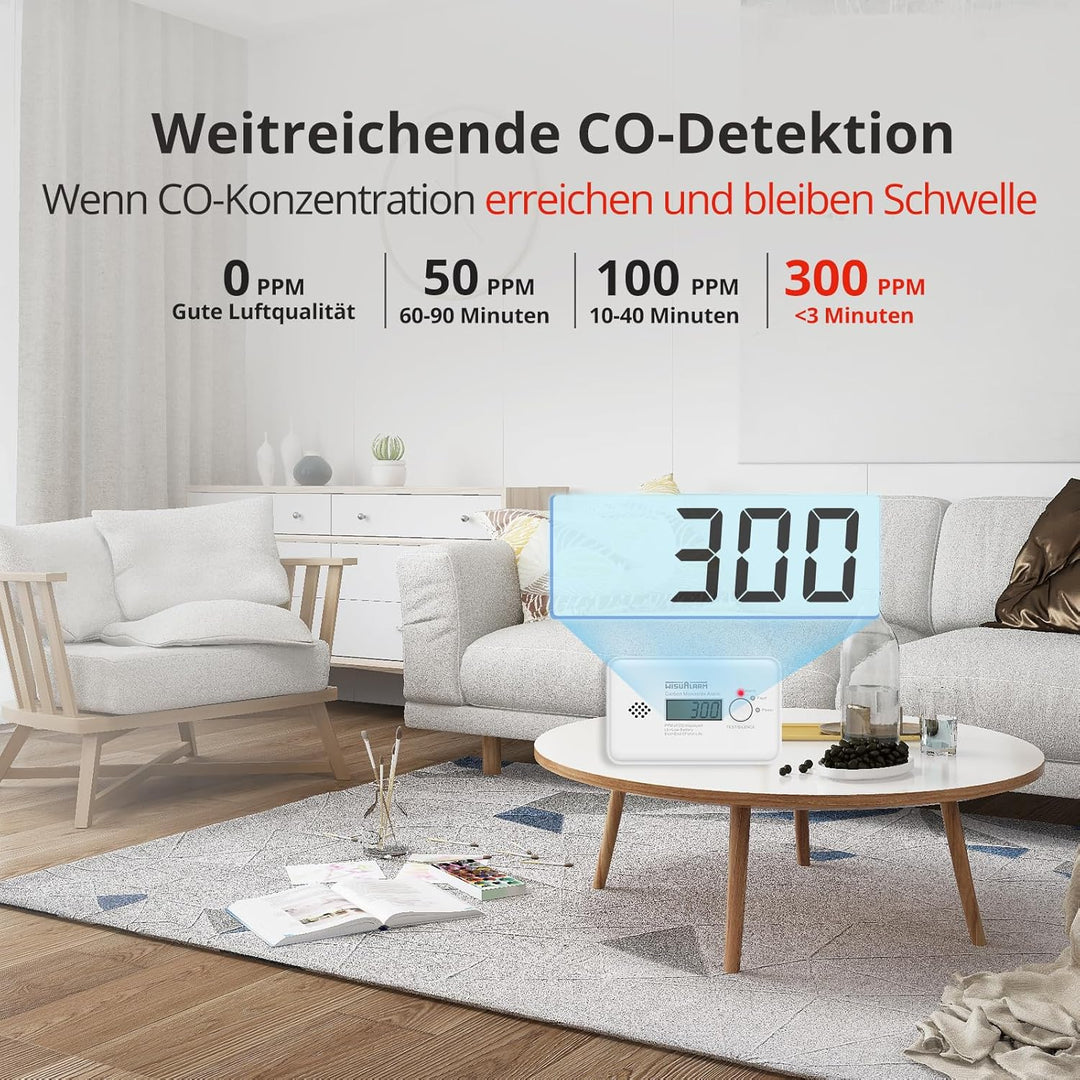 Kohlenmonoxid Melder, CO Melder, 10 Jahre Batterie kohlenmonoxid messgerät, CO Warner mit LCD Displa