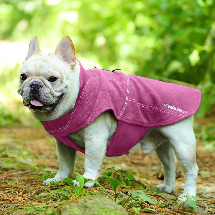 VIVAGLORY Softpad Wintermantel Hund, Hundepullover Fleece, Hundemantel mit Bauchschutz & Klettversch