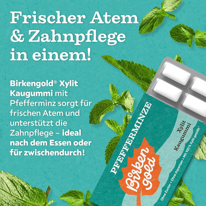 Birkengold Xylit Kaugummi Pfefferminze | 24 Stk. Blister | Zahnpflege-Kaugummi | zuckerfrei | hoher