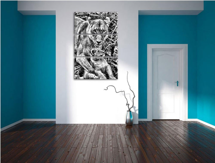 Pixxprint Löwin spielt mit Jungtier als Leinwandbild/Grösse: 3 Teilig (120x80 cm) cm/Wandbild/Kunstd
