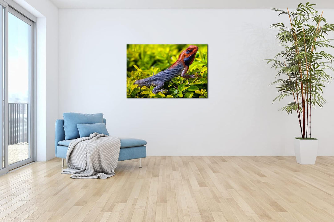 deyoli farbige Schuppen eines Reptil Format: 120x80 als Leinwandbild, Motiv fertig gerahmt auf Echth
