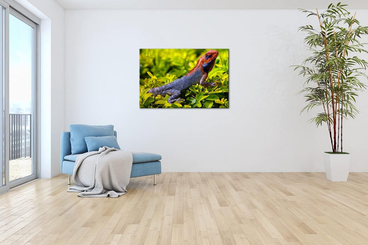 deyoli farbige Schuppen eines Reptil Format: 120x80 als Leinwandbild, Motiv fertig gerahmt auf Echth