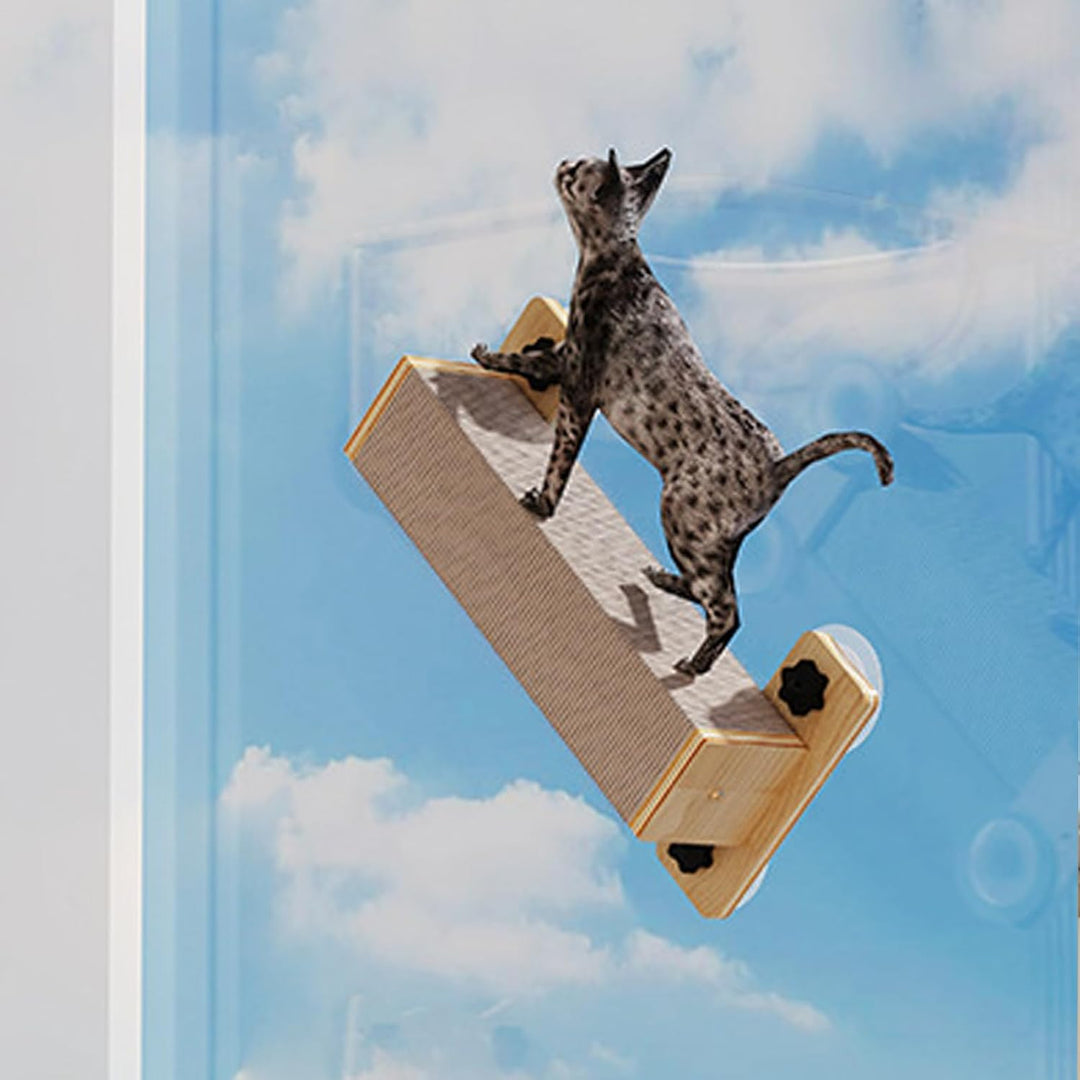 Kletterwand Katzen Hängematte Katze Wandmontage Katzenregale Katzenbrücke Katzentreppe Katzenkletter