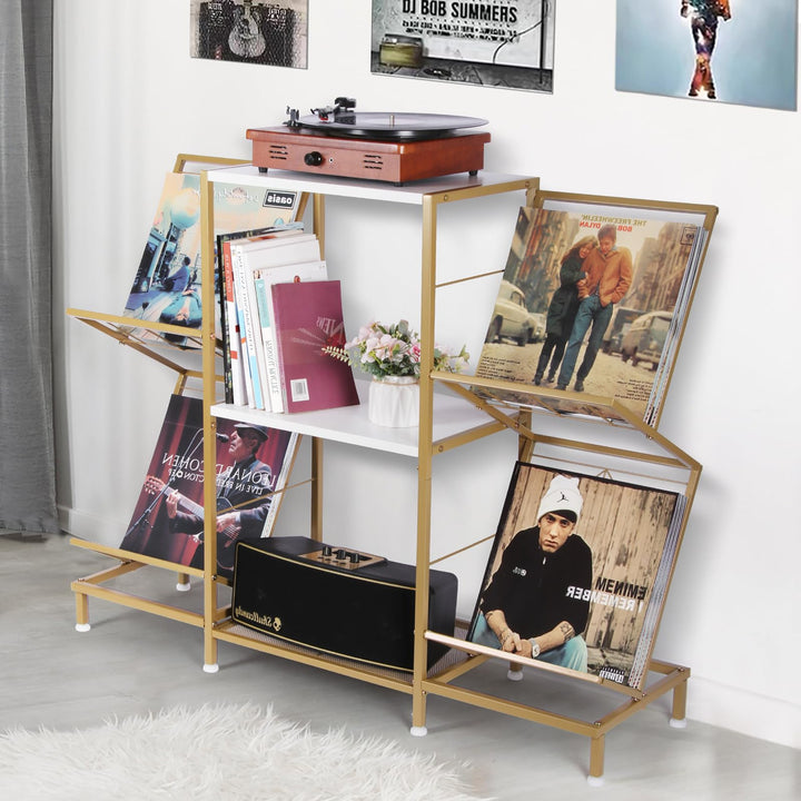 HYCFYJR Plattenspieler Ständer, Schallplatten Aufbewahrung mit 4-stufiger Vinyl Halter und Metallrah