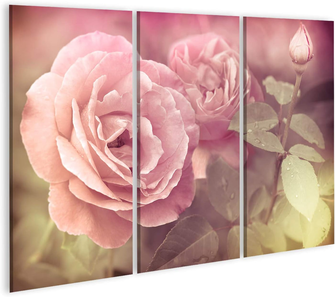 islandburner Bild auf Leinwand Abstrakt Pastel Rosa Rosen Mit Wassertropfen Bilder Wandbilder Poster
