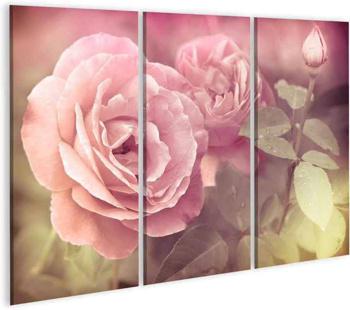 islandburner Bild auf Leinwand Abstrakt Pastel Rosa Rosen Mit Wassertropfen Bilder Wandbilder Poster