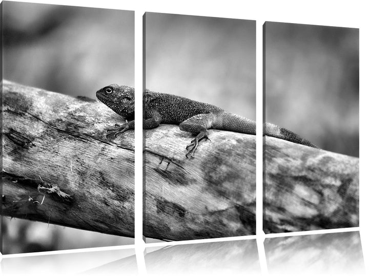 Pixxprint farbenfrohe Eidechse als Leinwandbild | Grösse: 3 Teilig (120x80) | Wandbild| Kunstdruck |