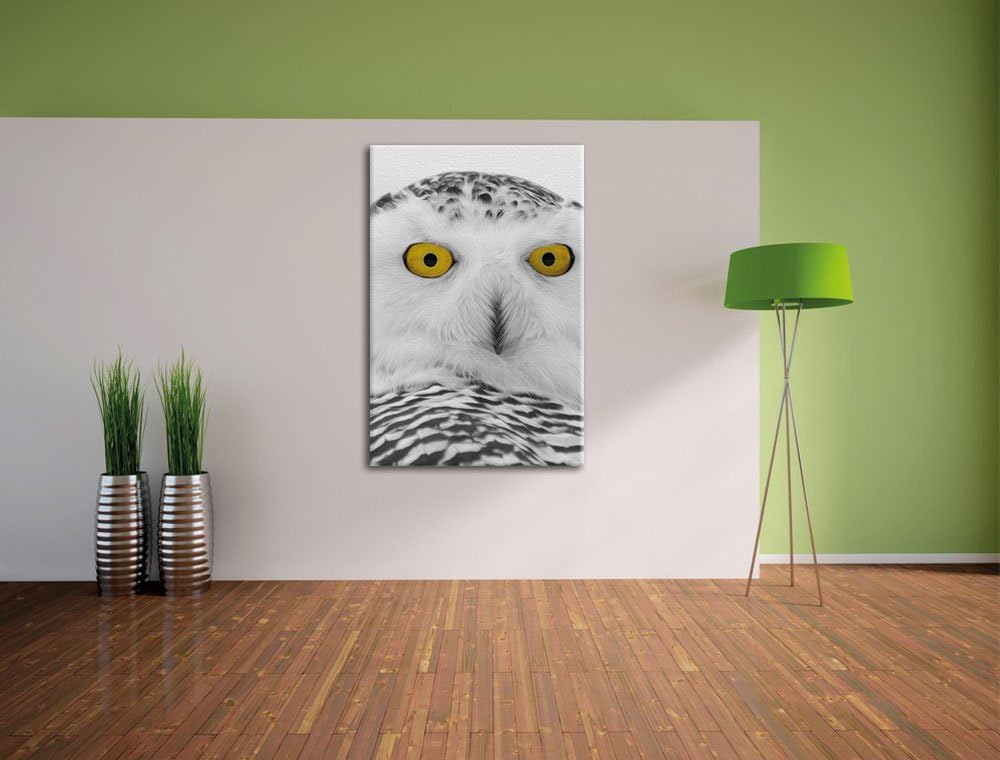 Pixxprint grosse Schnee Eule / 120x80cm Leinwandbild bespannt auf Holzrahmen/Wandbild Kunstdruck Dek