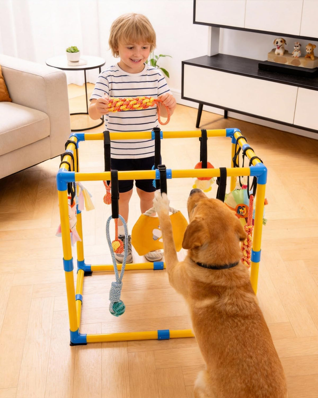 Welpen Spielgym für Kleine Hunde, 60 x 60 cm mit 12 Hängespielzeugen | Indoor Hundespielplatz mit An