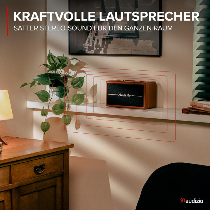 Audizio Tune60, DAB Radio mit Bluetooth Lautsprecher, Fernbedienung, FM, 40 Watt, Batterie- Netzbetr