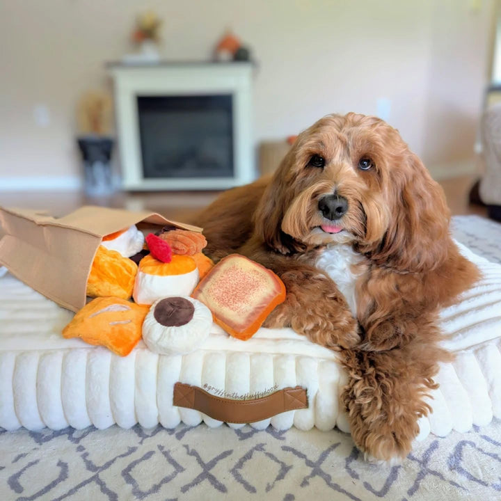 Nocciola 10 Stück Brot-Hundespielzeug mit Tragetasche, quietschendes, langlebiges Hundespielzeug geg