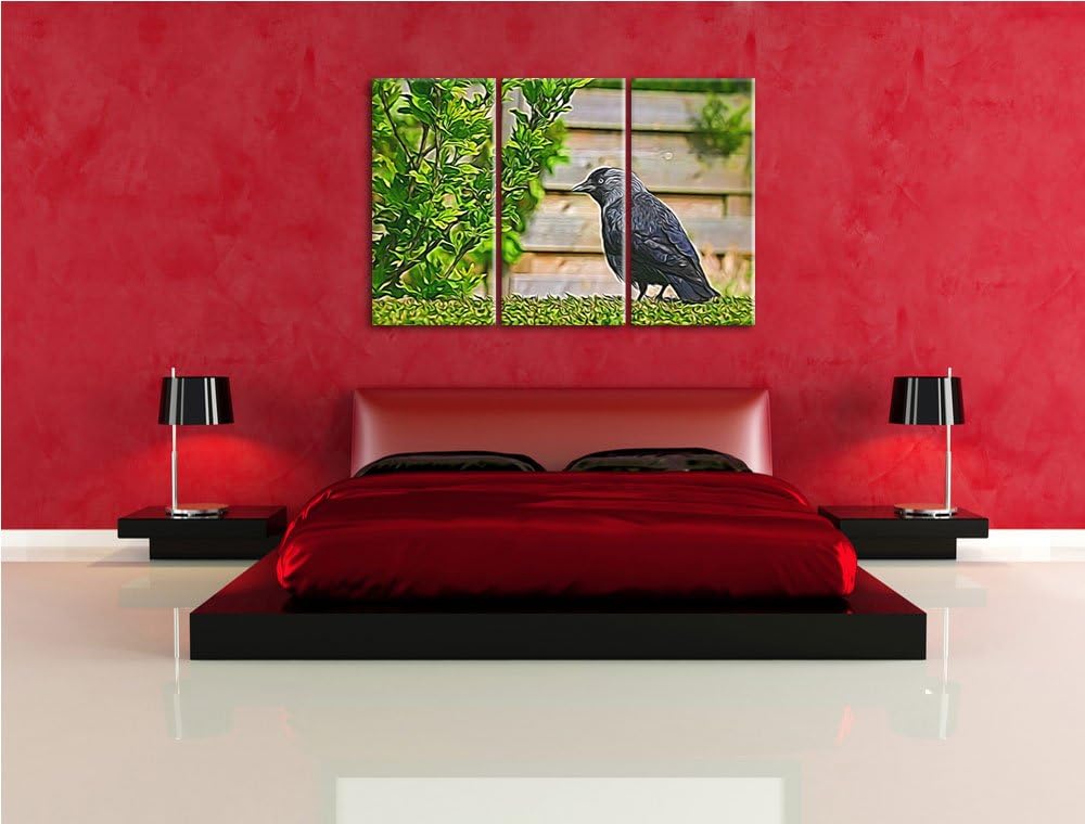 schöner schwarzer Vogel auf Gartenwiese NewArt 3-Teiler Leinwandbild 120x80 Bild auf Leinwand, XXL r