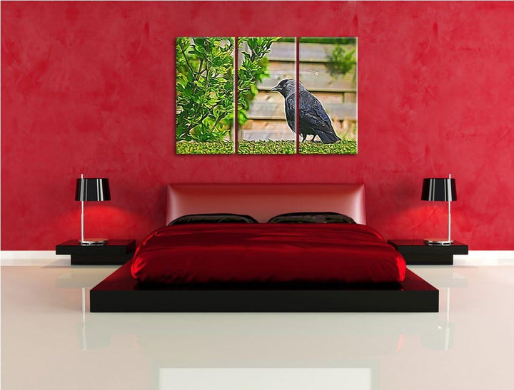schöner schwarzer Vogel auf Gartenwiese NewArt 3-Teiler Leinwandbild 120x80 Bild auf Leinwand, XXL r