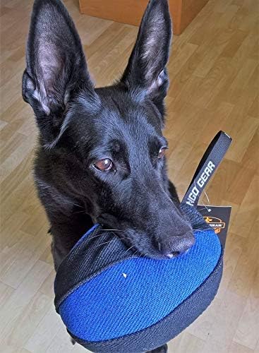Dingo Gear Trainings-Spielzeug Nylcott French Material Training Spiel Apport IGP K9 Obedience Apport