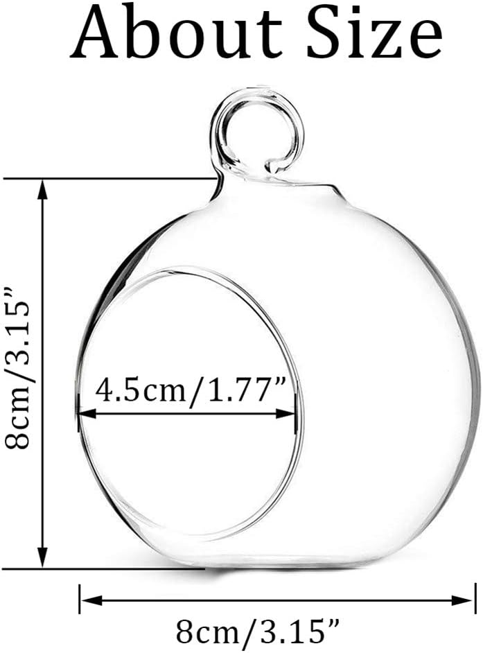 Sziqiqi 8cm Windlicht Hängend Glas Teelichter Halter 24 Stücke Kerzenleuchter Glasanhänger mit LED K