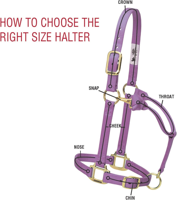 WEAVER Leather, Nicht verstellbares Halfter Blau Average Horse, Blau Average Horse