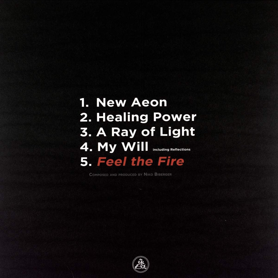 Feel the Fire, Vinyl