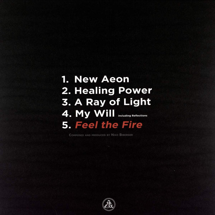 Feel the Fire, Vinyl