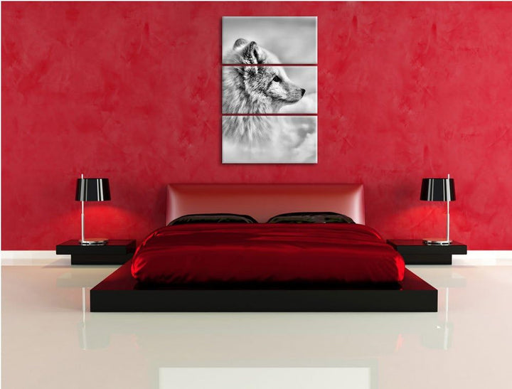 Pixxprint Anmutiger Polarfuchs im Schnee als Leinwandbild/Grösse: 3 Teilig (120x80) / Wandbild/Kunst