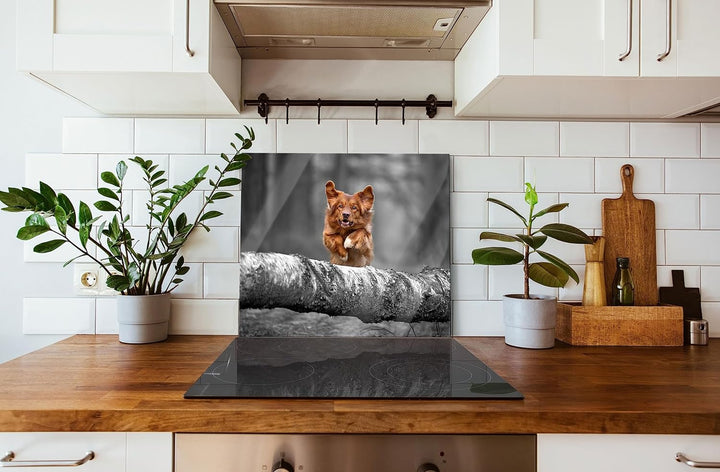 Hund springt über Baumstamm im Wald B&W Detail Herdabdeckplatte & Spritzschutz aus Echtglas | Für He