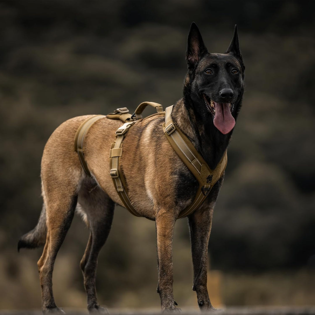 OneTigris Hundegeschirr, HOUNDLOCK Taktisches Geschirr Ausbruchsicher Einstellbar Weich Gepolstert B
