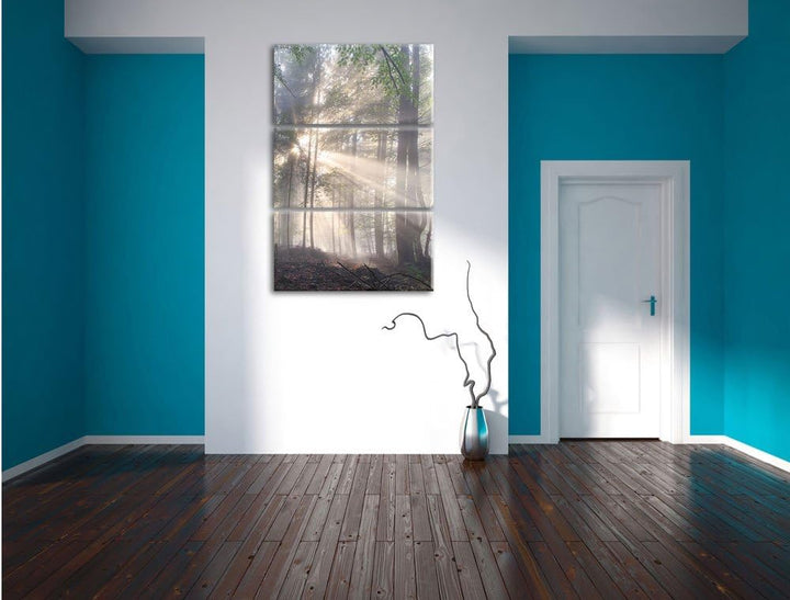 Pixxprint diesiger Waldweg als Leinwandbild/Grösse: 3 Teilig (120x80) cm/Wandbild/Kunstdruck/fertig