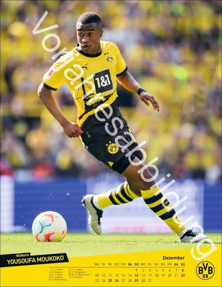 BVB Posterkalender 2025: Jahres-Wandkalender 2025 für Fussballfans. Fotokalender mit den Stars von B