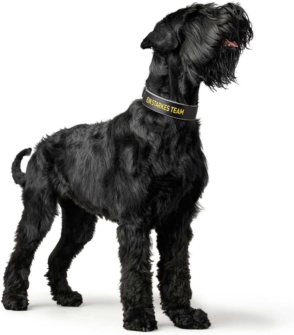 HUNTER NEOPREN REFLECT BVB Hundehalsband, Nylon, Neopren gepolstert, reflektierend, 65 (L-XL), schwa