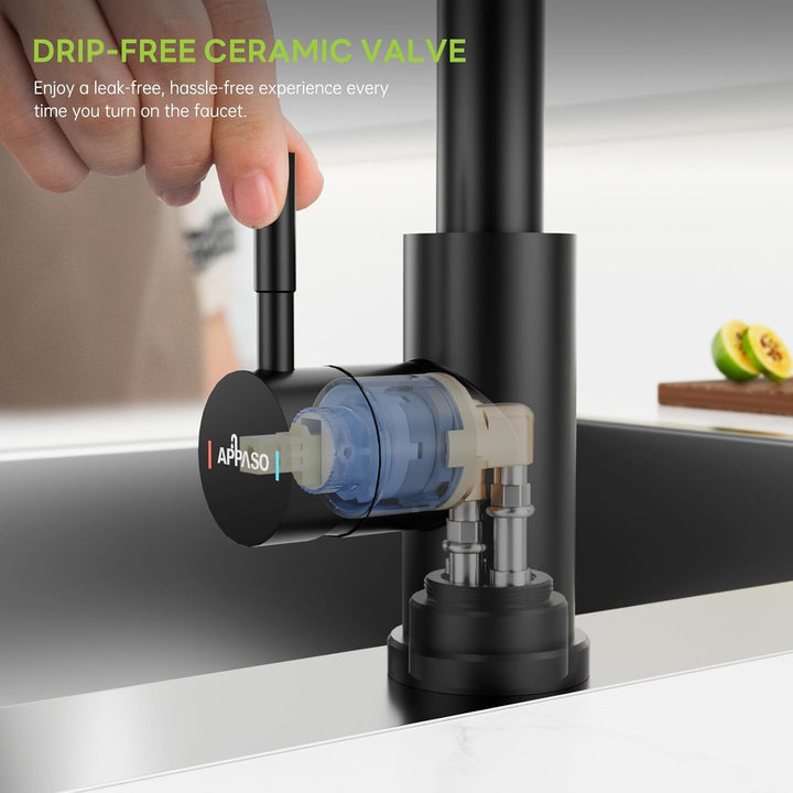 APPASO Wasserhahn Küche, Küchenarmatur mit Brause Ausziehbar für die Küche, Einhebel Ausziehbarer Sp