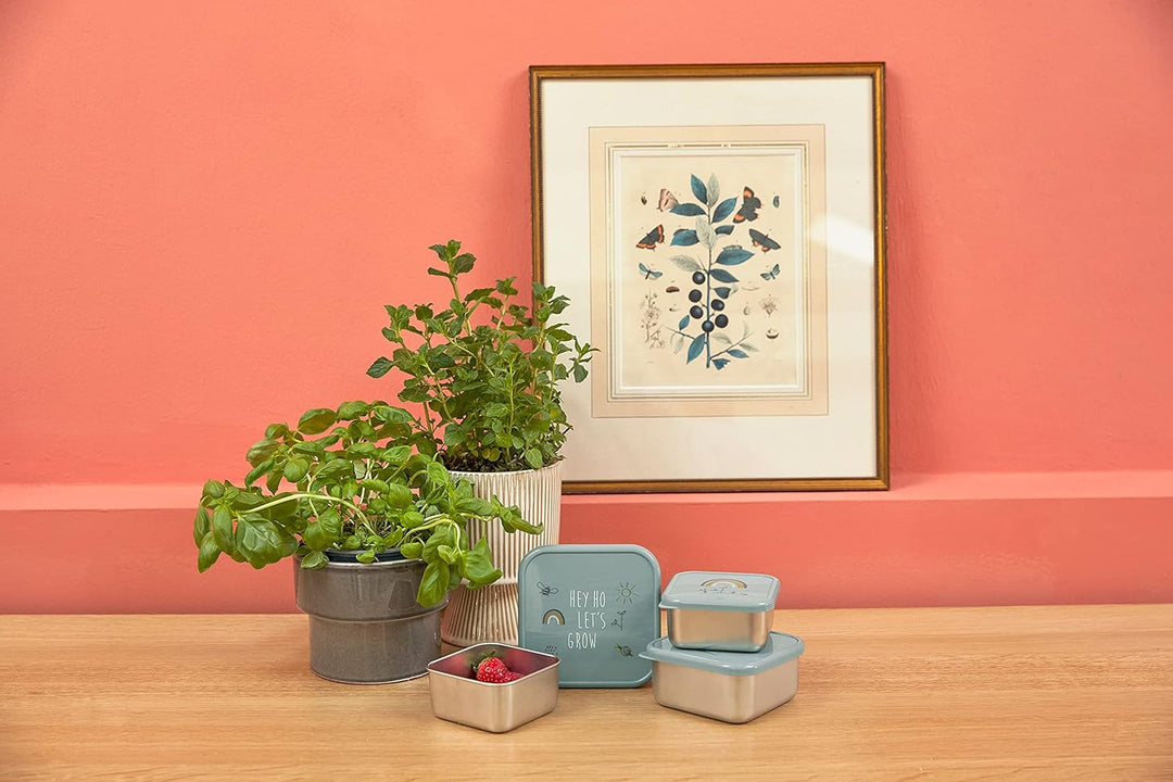 LÄSSIG Snackbox 3er Set Edelstahl 3 Stück Garden Explorer Grün, Gr&#xFC;n