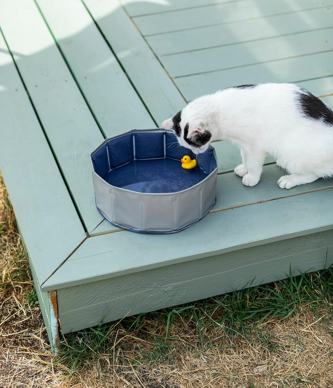 Dehner Lieblinge Katzenpool Water Games, Ø 30 cm, Höhe 10 cm, Kunststoff, grau/blau Keine Angabe, Ke