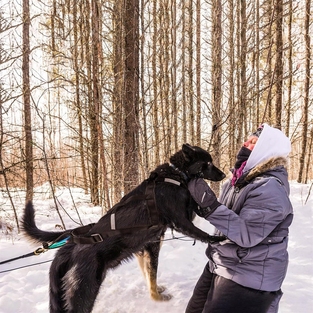 Zuggeschirr für Hunde, Ultra-Robust & Reflektierend, Aktivgurt für Schlittenhunde Sport Training, Ko