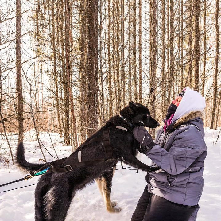 Zuggeschirr für Hunde, Ultra-Robust & Reflektierend, Aktivgurt für Schlittenhunde Sport Training, Ko