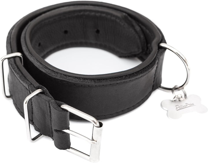 Hundehalsband Leder, Halsband, Leder, Lederhalsband Hund, Metallschnalle, 65 x 4 cm, Schwarz Einstel