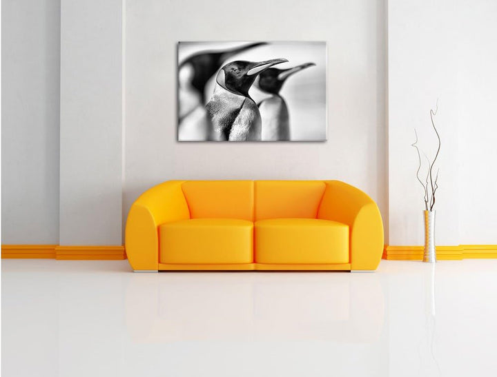Monocrome, Pinguine, Format: 100x70 auf Leinwand, XXL riesige Bilder fertig gerahmt mit Keilrahmen,