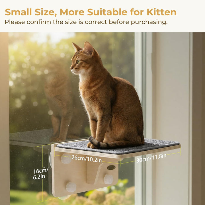 pecute Kletterwand Katzen, 2-in-1 für Wand & Glas, Katzenkletterwand mit Waschbar Abnehmbar Filzunte