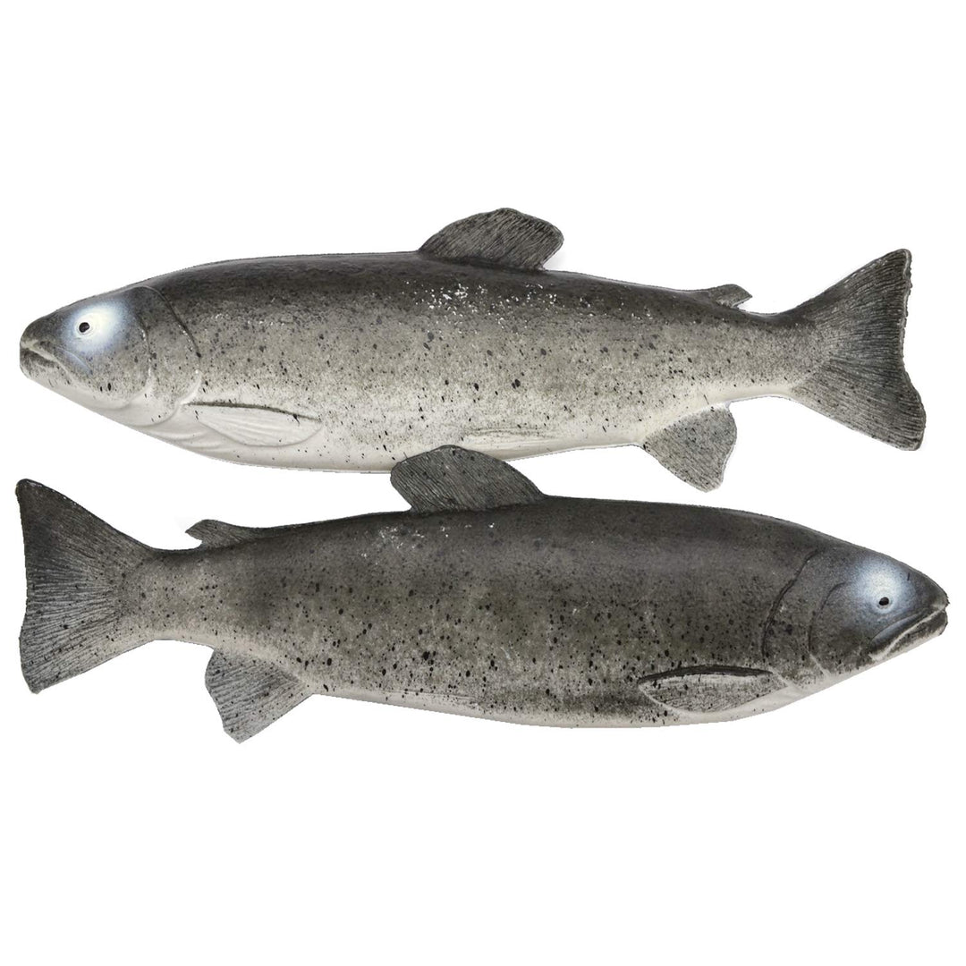2 Deko-Forellen Attrappen aus Kunststoff Lebensmittelattrappe frischer Fisch Meeresfrüchte Fake