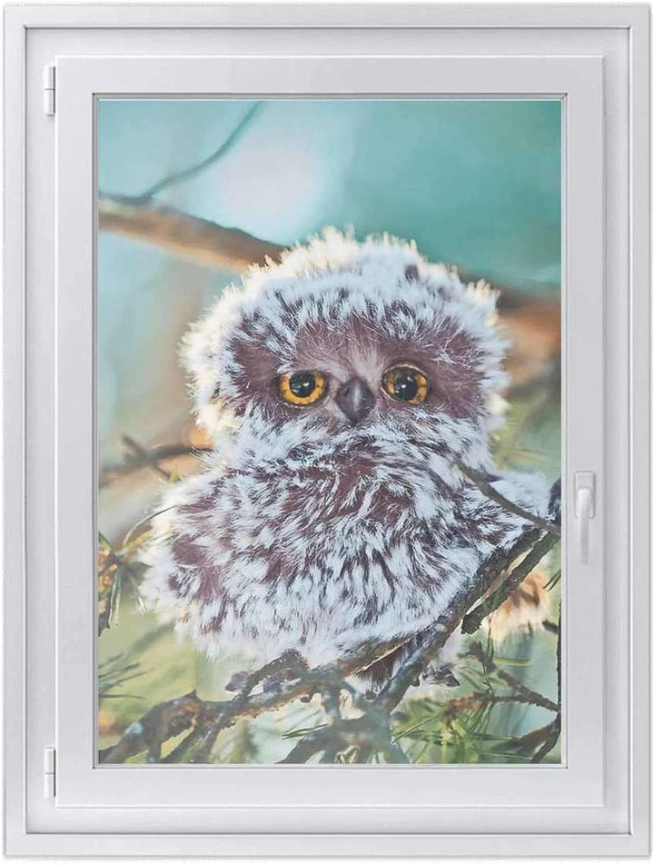 Fenster-Folie Sichtschutz I Folie für Fenster Deko - Fensterbild selbstklebend I Deko für Bad, Küche