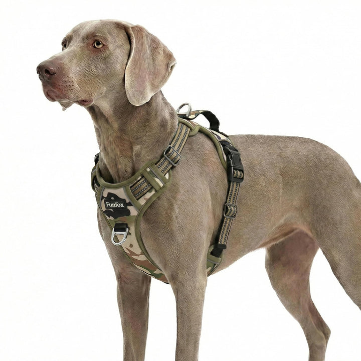 Funfox Hundegeschirr Kleine Hunde [XL] - Anti Zug Welpengeschirr mit Griff & Ringreflektoren, Atmung