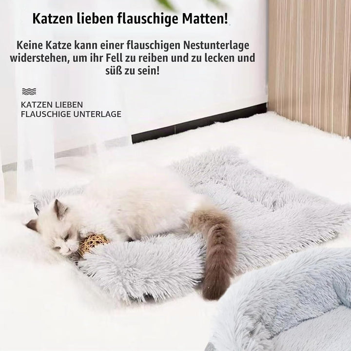 Katzendecke Selbstwärmend, Selbstheizende Katzendecke, 2 in 1 Katzenbett Haustierbett Katzensofa, Gr