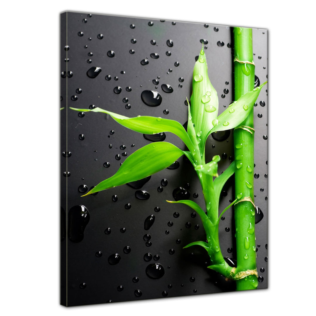 Bilderdepot24 Bild auf Leinwand | Frischer Bambus II in 60x80 cm als Wandbild | Wand-deko Dekoration