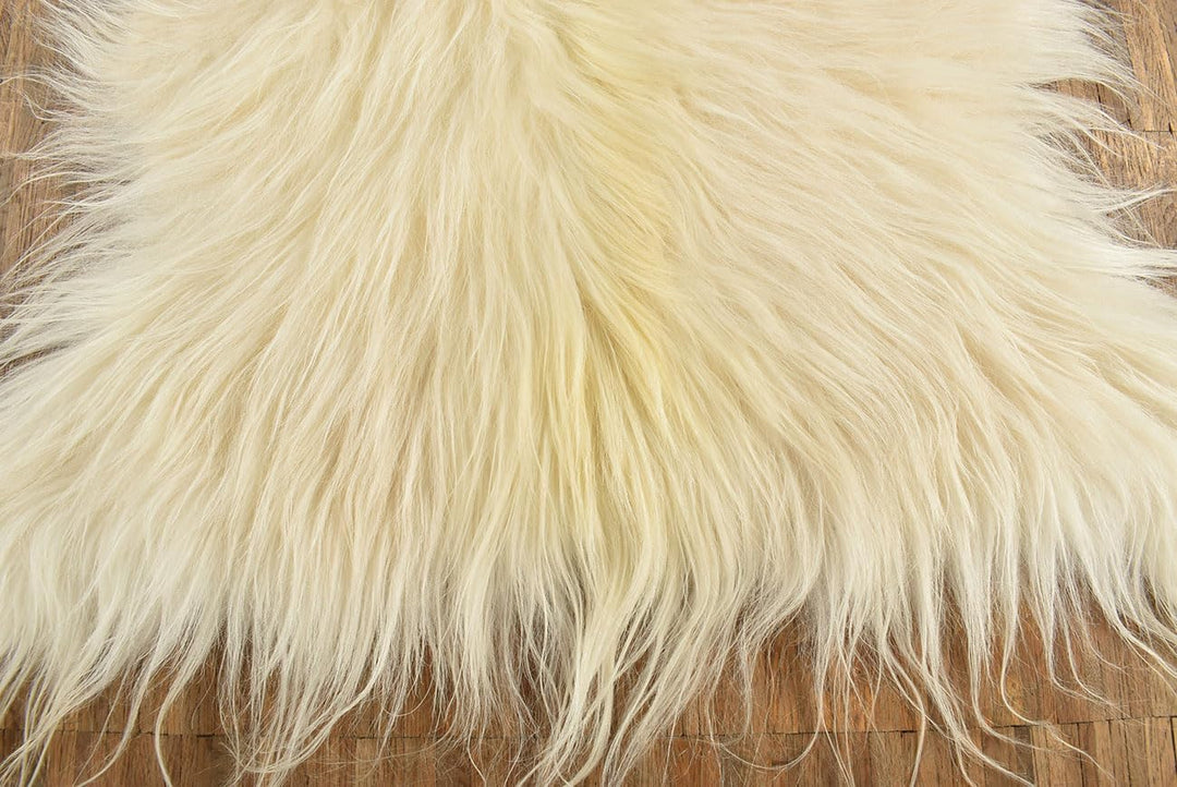 ZIEGENFELL Creme Weiss Champagner LANGHAAR CA. 70 x 50 cm DEKO Fell VON KUHFELLE ONLINE
