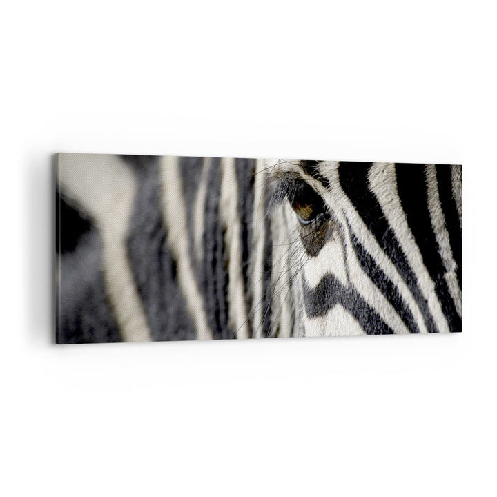 Wandbilder Dekoration Wohnzimmer Zebra Streifen Tierwelt Safari Panorama Bilder auf Leinwand 120x50c
