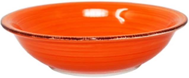 DRULINE Teller-Set bunt Edles Porzellan-Geschirr Suppenteller 750 ml 6 Farben mediterran backofentau