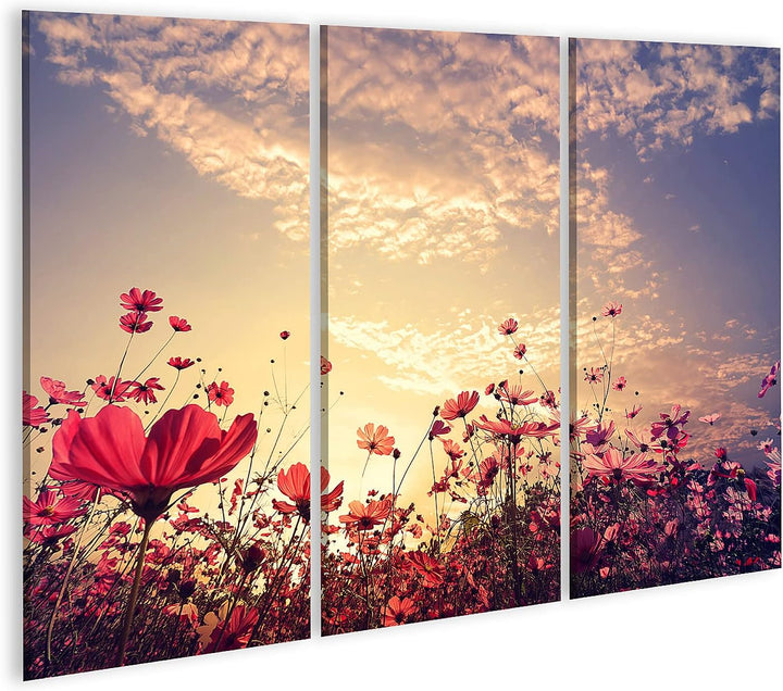 islandburner Bild auf Leinwand Landschaft Natur Schöne Rosa Roten Kosmos Blumenfeld Mit Sonnenschein