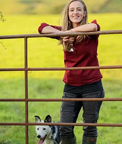 A1 Sheepdog Whistle Silber/Silber, Silber/Silber