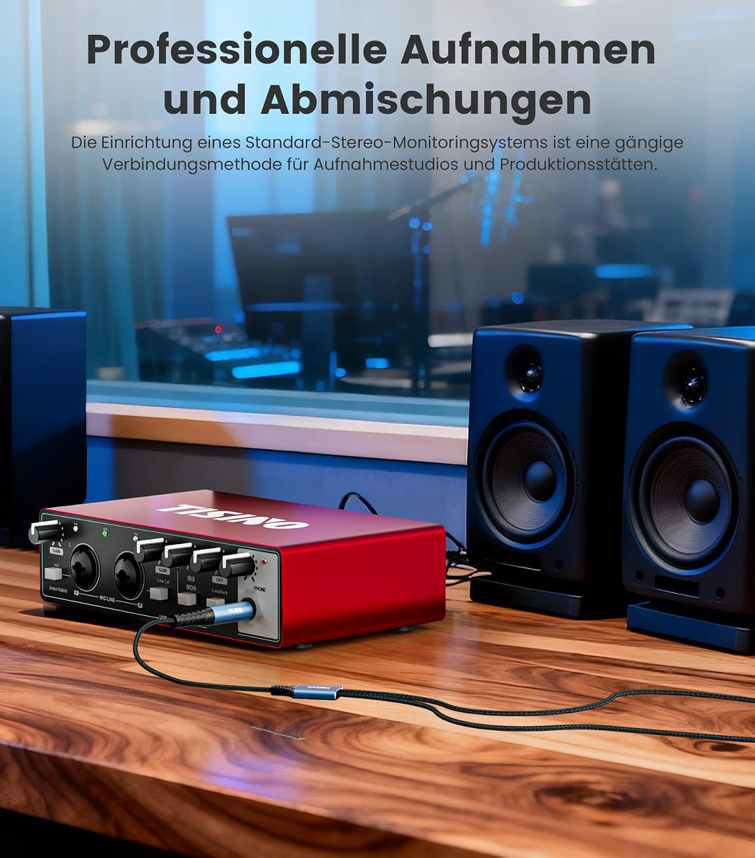 Tisino 6,3mm TRS auf 2 XLR Stecker Y-Kabel (3 m) Stereo-Breakout-Kabel für Mischpulte, Audio-Interfa