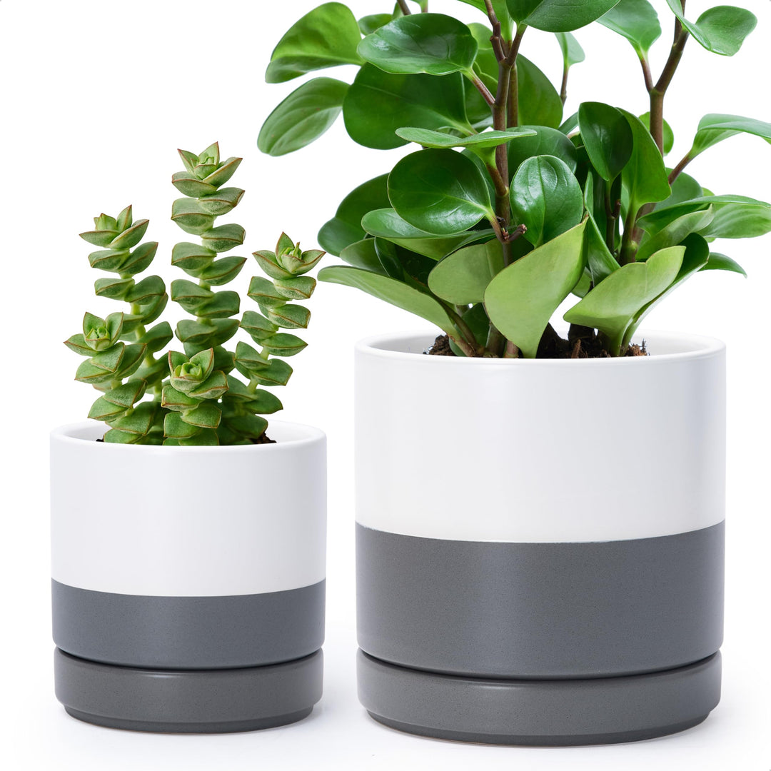 D'vine Dev 11,7 cm & 15,2 cm Keramik-Pflanztöpfe für Pflanzen mit Drainageloch und Untersetzer, klei
